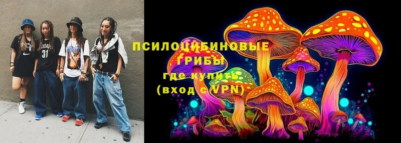 Галлюциногенные грибы Magic Shrooms  Балашов 